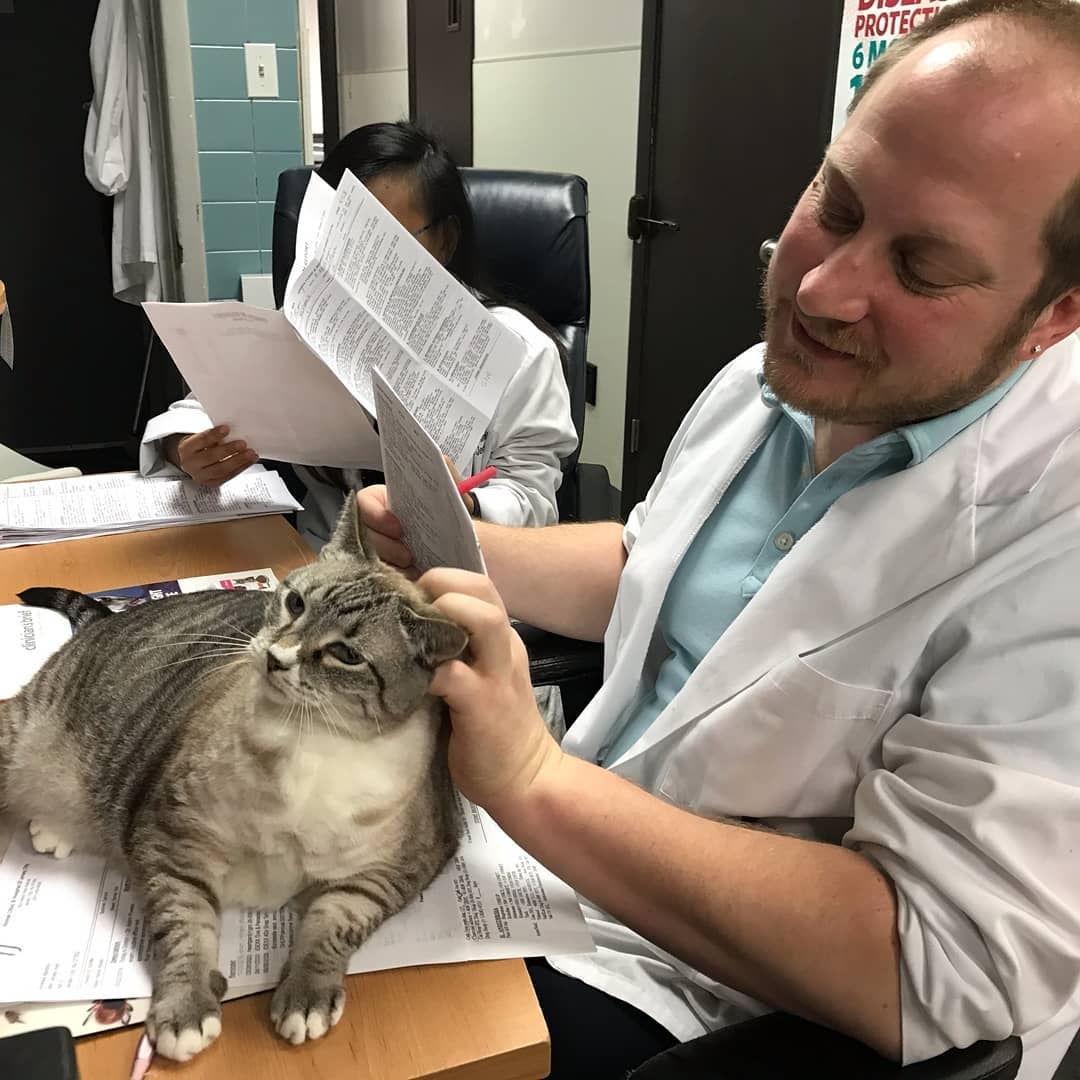 Find Pet Care Information and Veterinarians in Jerseycity, Newjersey